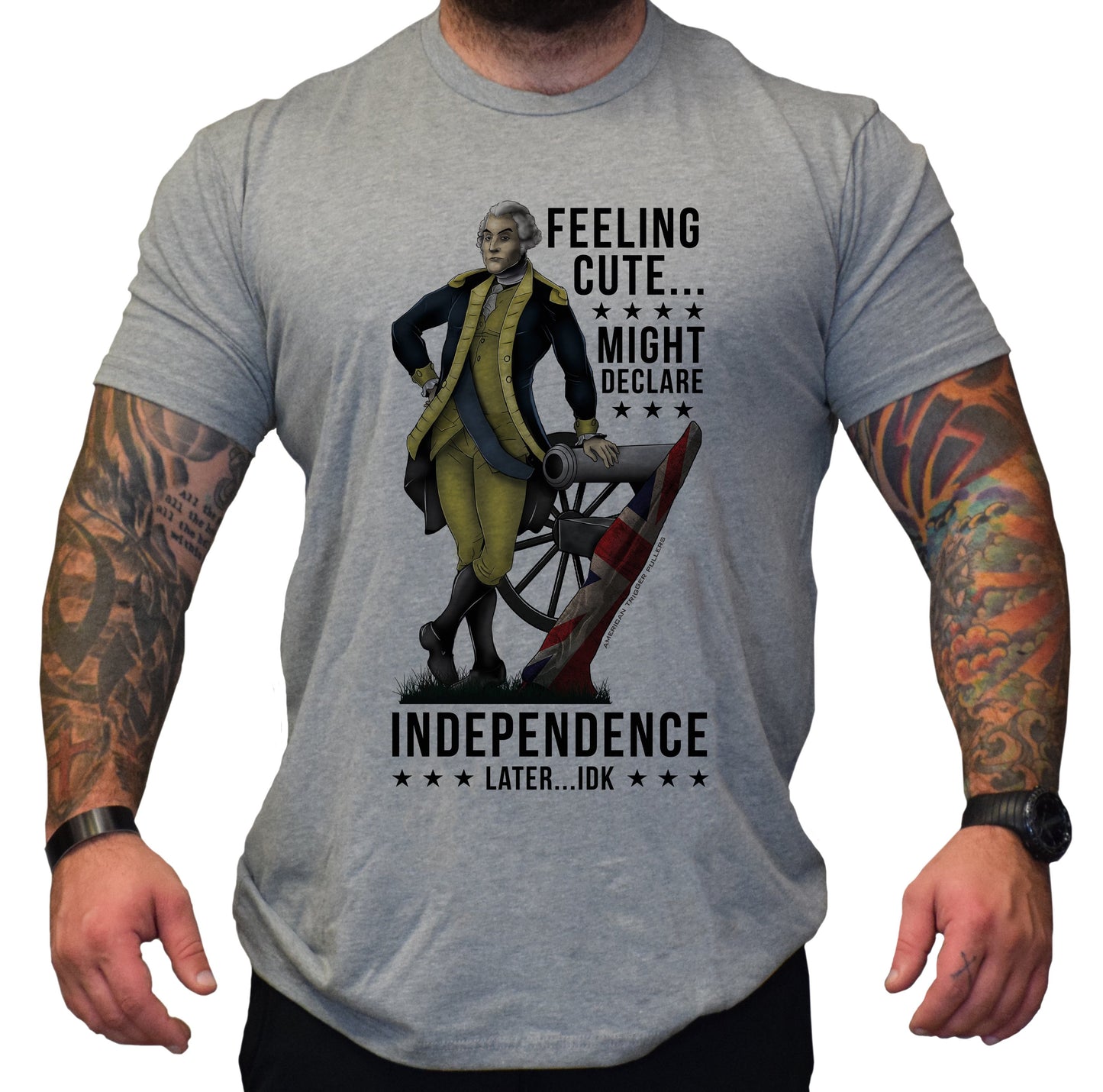 Feeling Cute... Might Declare Independence Later