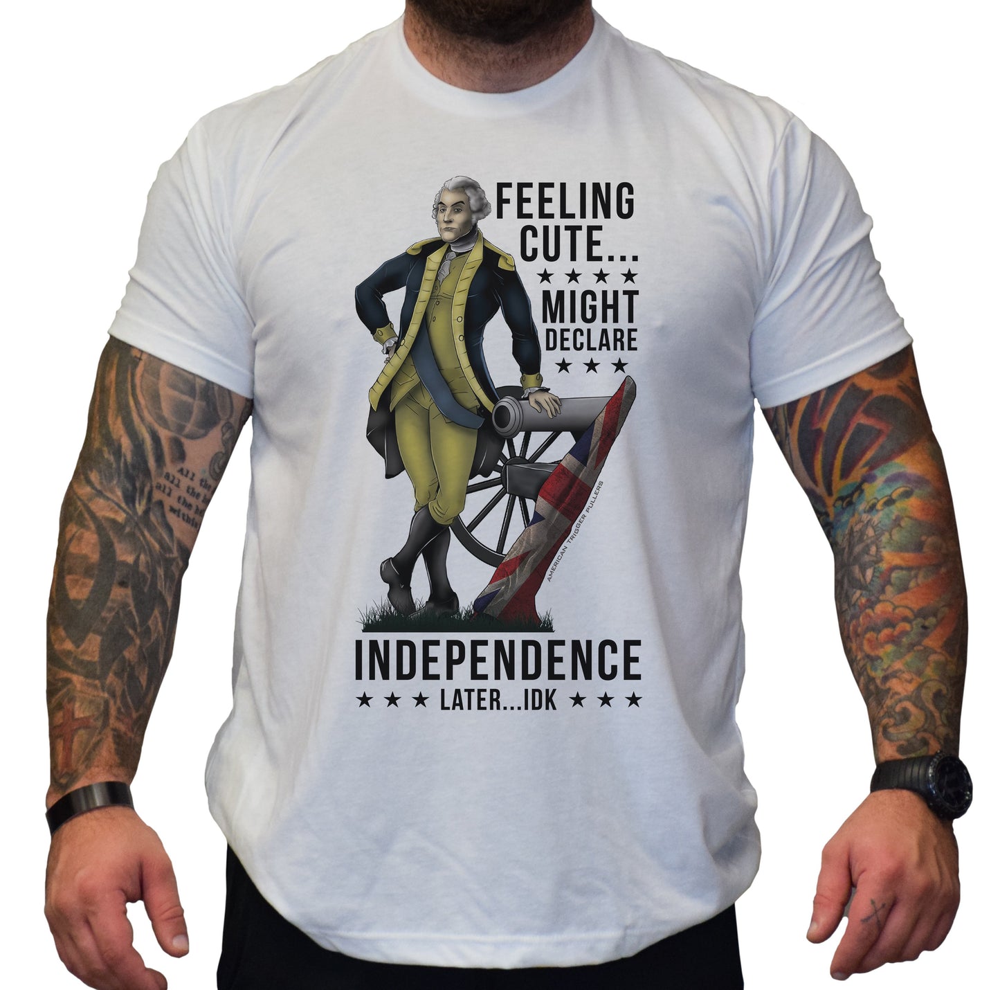 Feeling Cute... Might Declare Independence Later