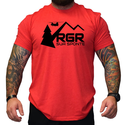 RGR Sua Sponte